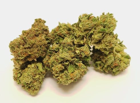 3D Grow Pharms Gorilla Zkittlez