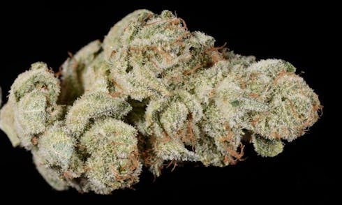 BUTTER COOKIES (27.11%)