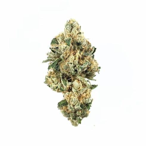 Classic OG Kush