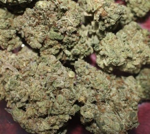 GSC Glue - Occidental Hills