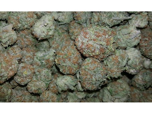 Grape Krypt