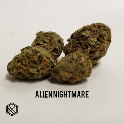 Alien Nightmare