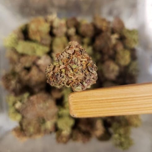 Pink Kush