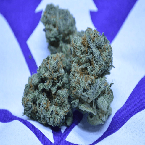 Grapefruit by Cascadia
