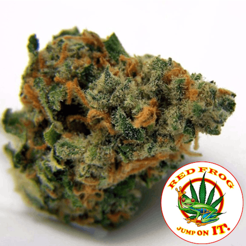 Blue Dream by Red Frog
