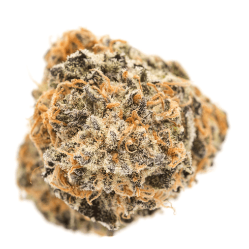 Mandarin Cookies (H)