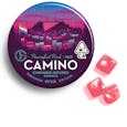 CAMINO: PRIDE PASSIONFRUIT PUNCH GUMMIES 100MG