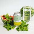 Hytn - Watermelon Mint Sparkling Beverage 1x355ml