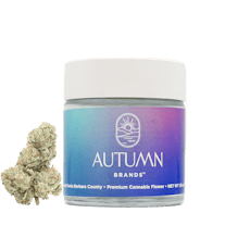 Autumn Brands 3.5g Purple Push Pop