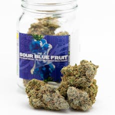 GOF (Phat Panda) Blue Raspberry 100mg 10PK Fruit Drops