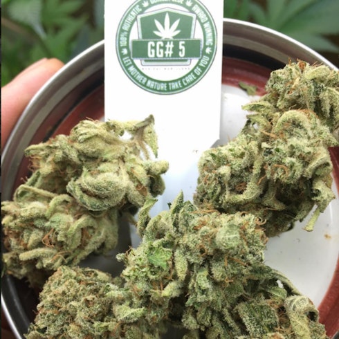 New Glue Gg5 Fka Gorilla Glue 5 Leafly