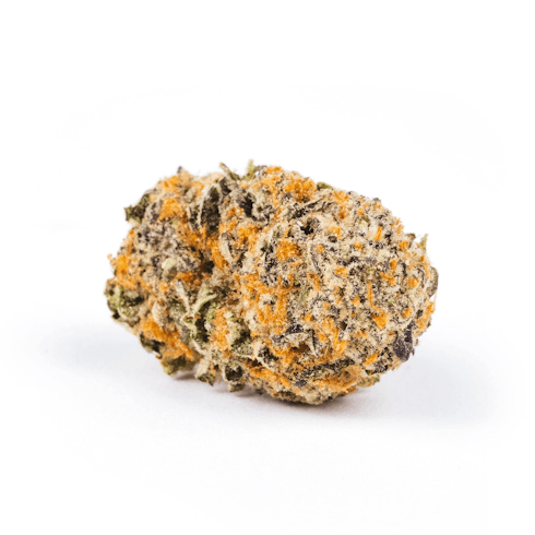 Sundae Driver (H)