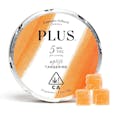 Tangerine - Uplift Sativa Gummies - Plus Products