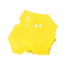 NW Kind - Triple Burger - 1g shatter (I)