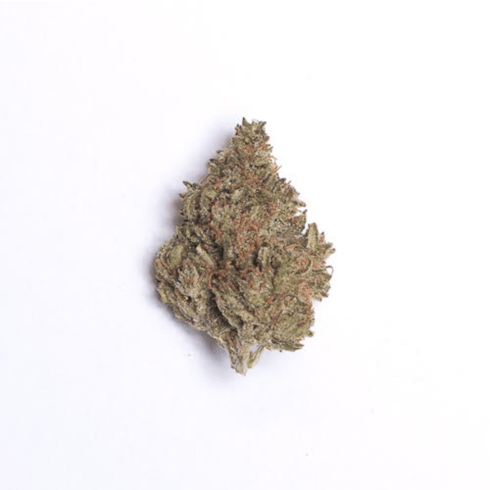 Sweet Island Skunk