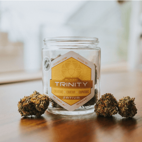 Trail Blazin: Trinity Hashplant