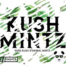Phat Panda Platinum - Kush Mintz - Flower - 3.5g