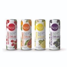Wyld CBD - Grapefruit Sparkling Water | 2:1 CBD:CBG
