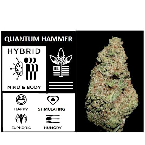Quantum Hammer 3.5g Freedom Viva Cannabis