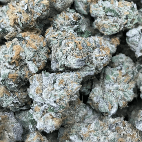 Tequila Lime Sunrise by Mother Magnolia Medicinals