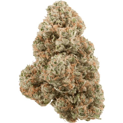White Cookies