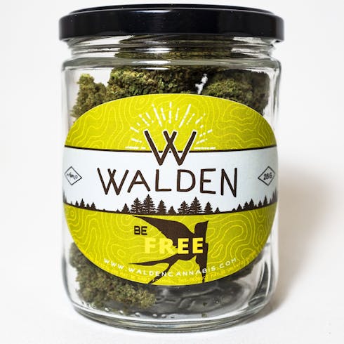Pineapple by Walden