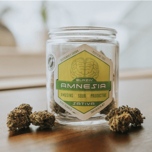 Amnesia by Trail Blazin'