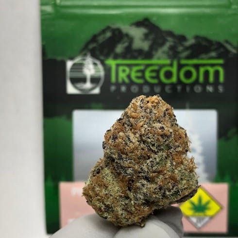 Pink Champagne by Treedom