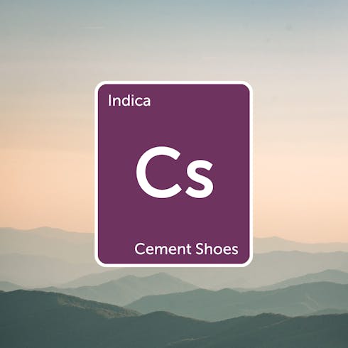 Lifted Cement Shoes 7g
