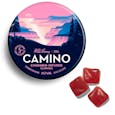 Camino - Wild Berry Gummies (100mg THC)