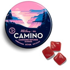 Wild Berry Gummies 100Mg Camino