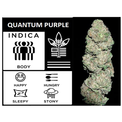 Quantum Purple 3.5g Freedom Viva Cannabis