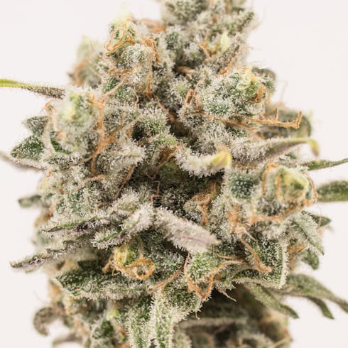 Silver Train