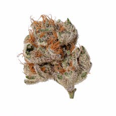 DISCO BISCUITS (MERAKI) - INDICA