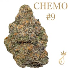 Chemo #9( H ) by CEDARCREEK