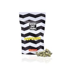 Good Day Farm | Mint Chip Gelato 28g