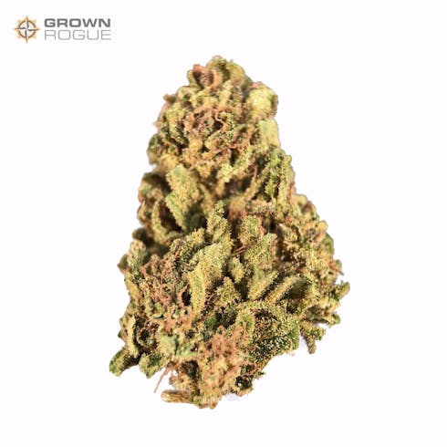 Jack Herer