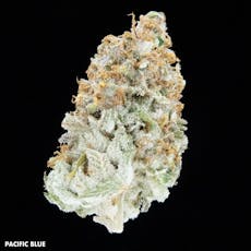 Pacific Blue (R) 1g by Falcanna