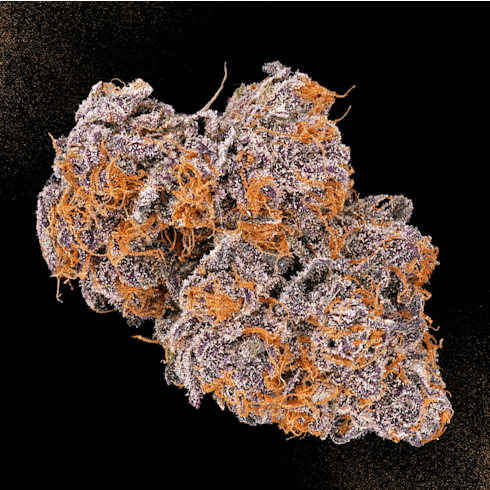 Mimosa by Cream of the Crop