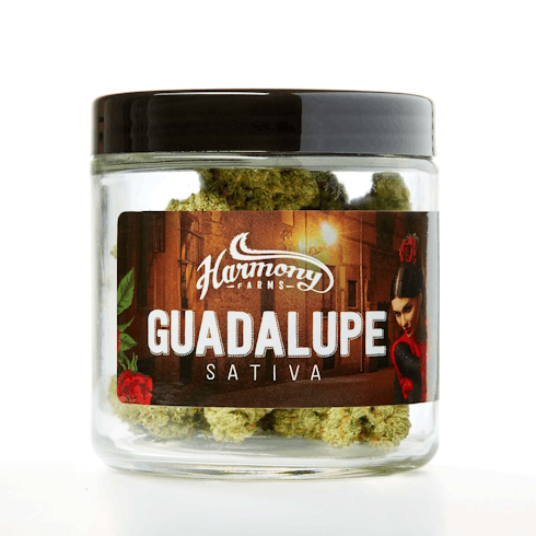 Guadalupe by Harmony Farms