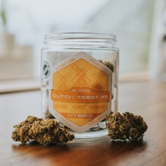 Trail Blazin' Cannabis Flower Dutch Treat #5