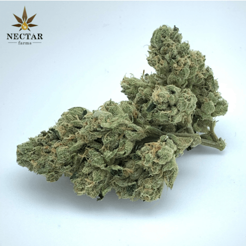 AZ NECTAR FARMS JAR: LARRY OG