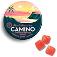 Camino - Watermelon Lemonade Gummies (100mg THC)