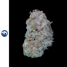 Dutch Haze