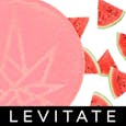 Levitate Freebie Gummy - Watermelon - 10mg