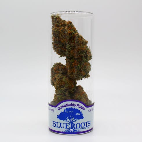 GRANDDADDY PURPLE by Blue Roots Cannabis