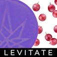Levitate 10mg Grape