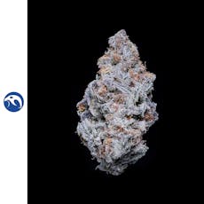 Diesel Thai