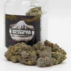 Montana Silver Tip Platinum Line 7g - Phat Panda