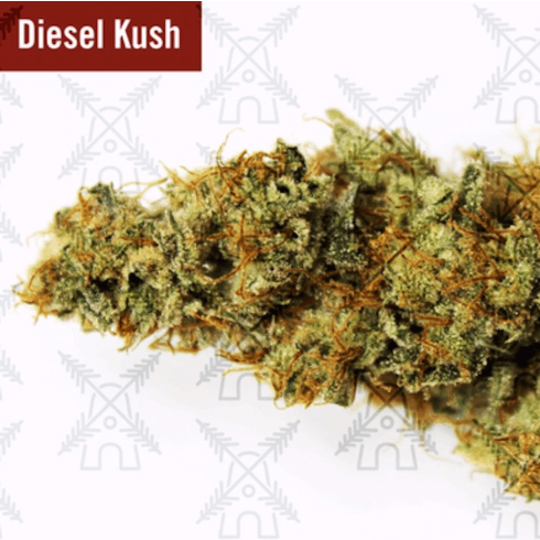 Diesel Kush (0698)
